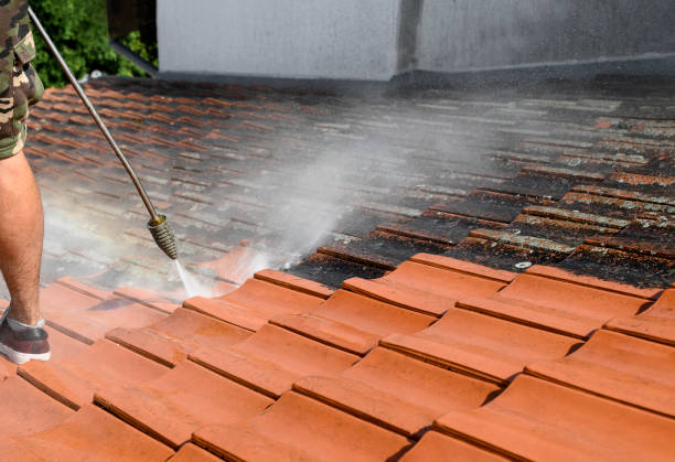Best Local Pressure Washing Services  in Rk Forest Village, PA